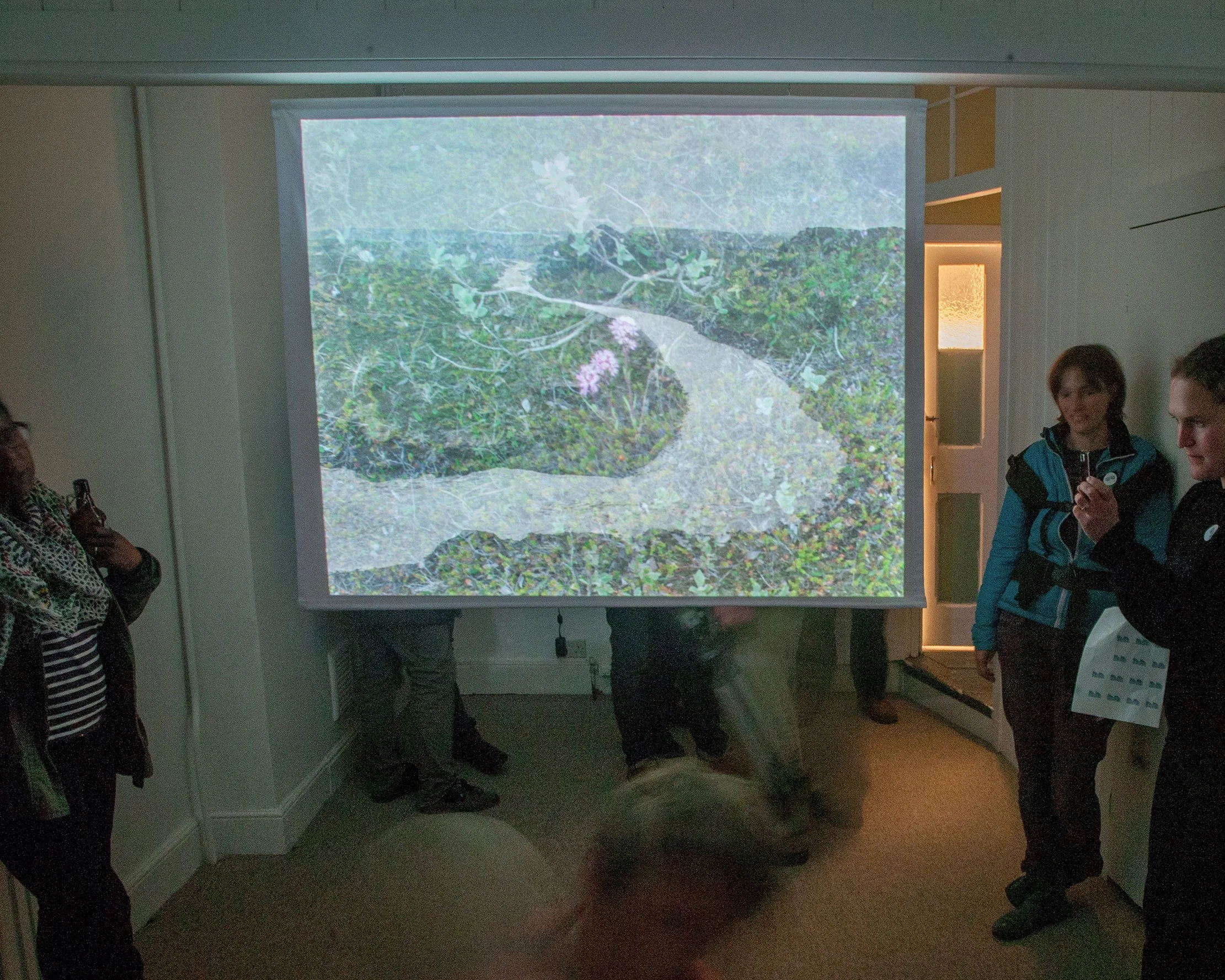 'jökulsá á fjöllum' solo exhibition, dodo photo, exeter, 2014