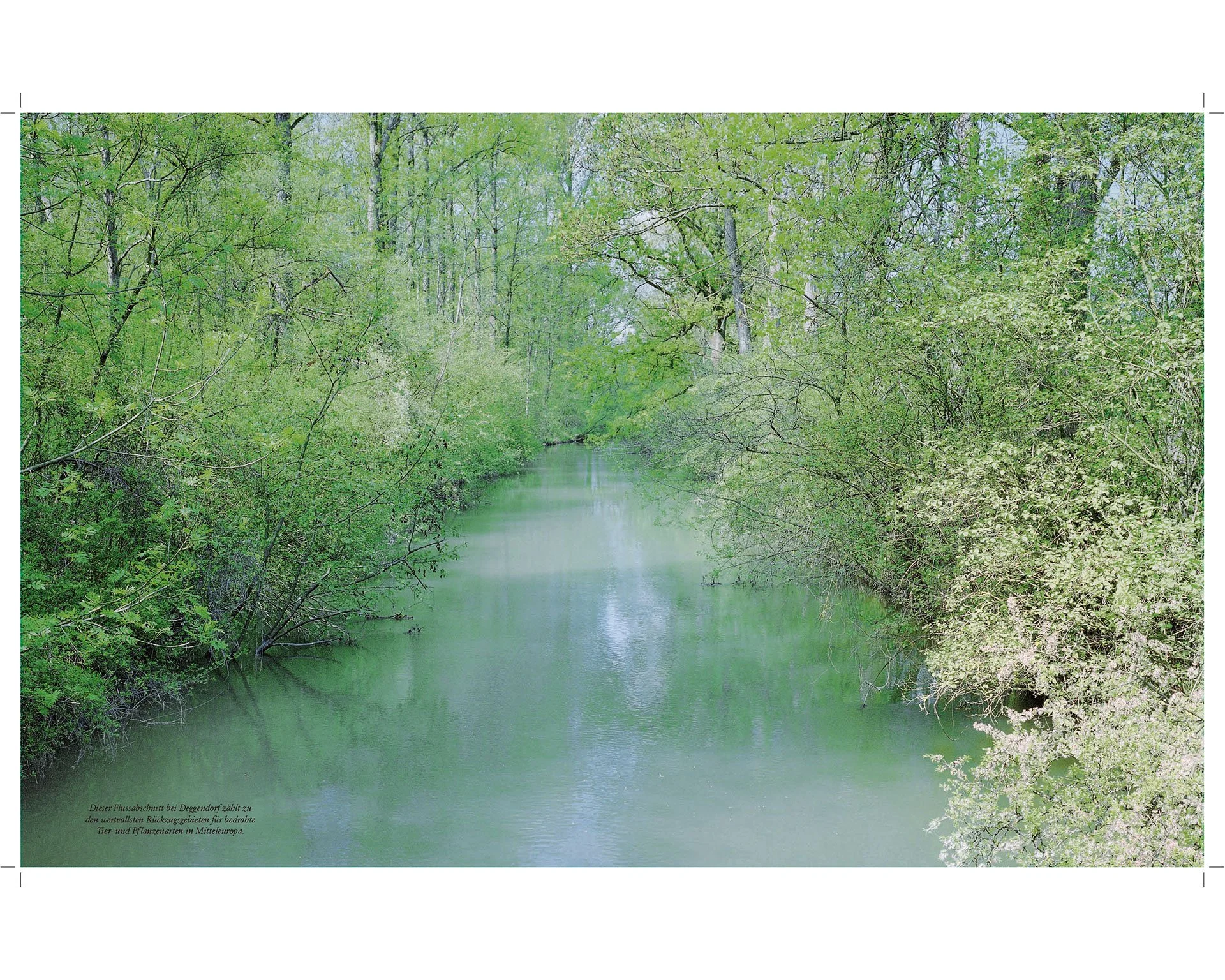 tear sheet, süddeutsche zeitung magazin, no 22, 01.06.2007