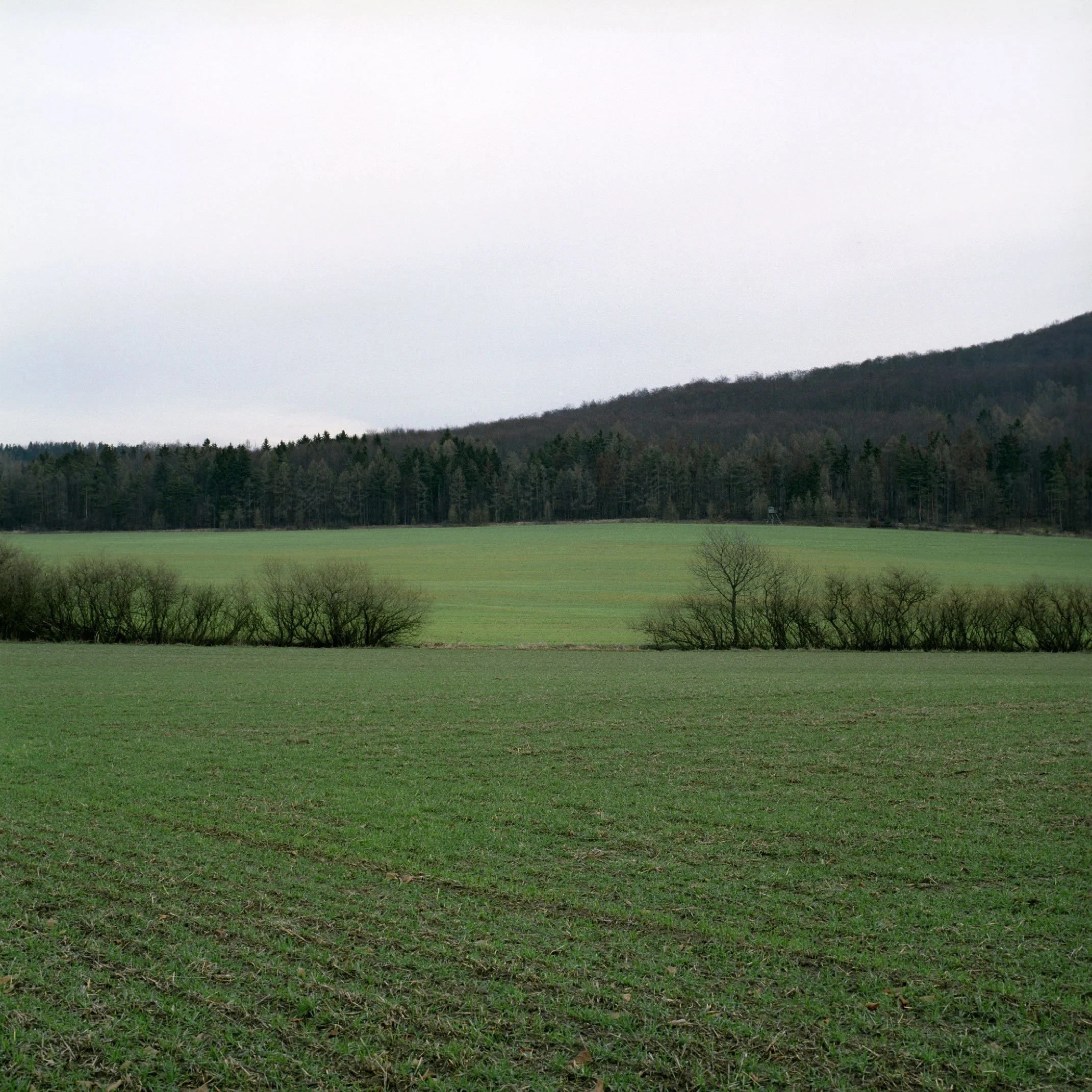 strangen