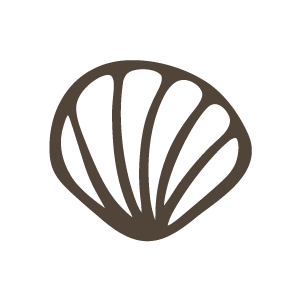 seashell clip art