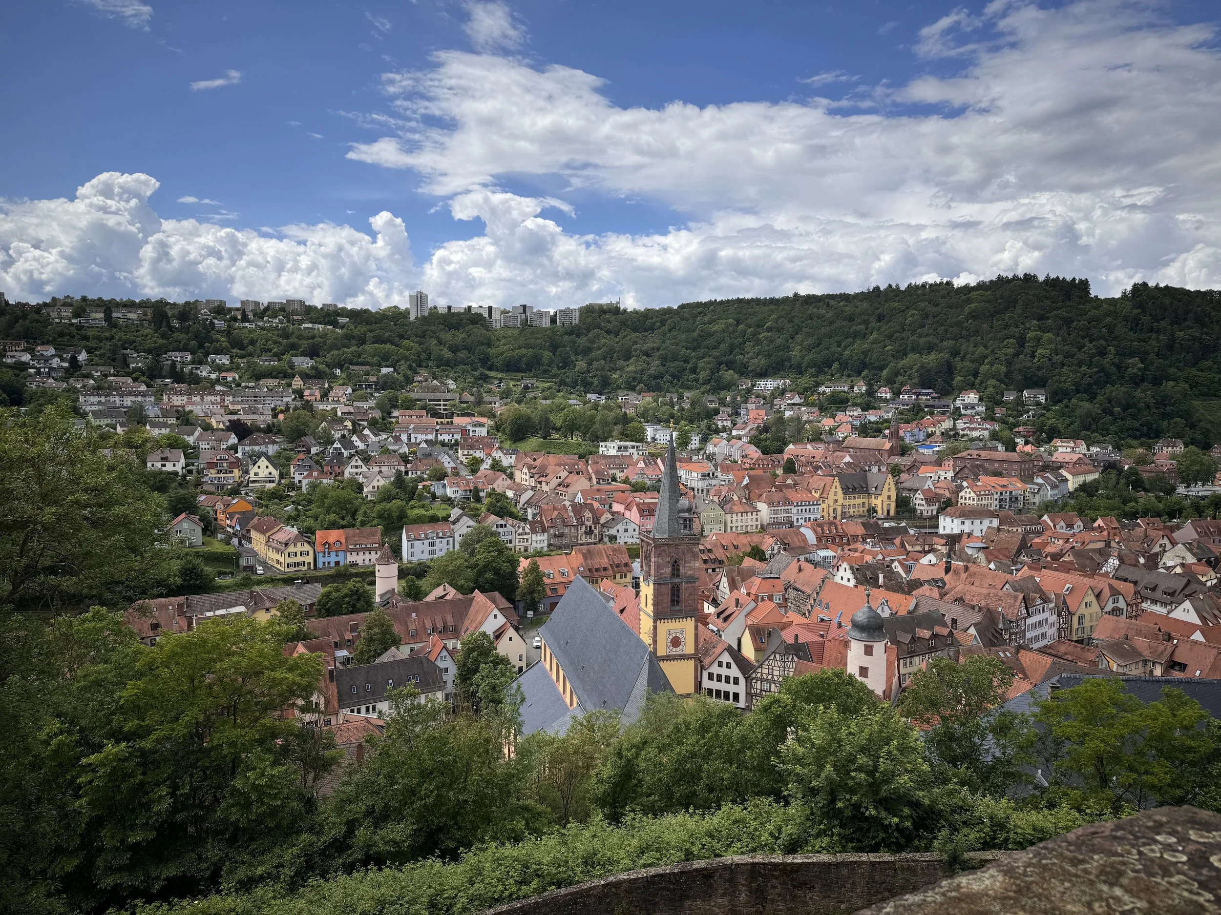 Panoramic view of Heidelberg, Germany, with colorful historic buildings, church steeples, and green forested hills under a partly cloudy sky.
