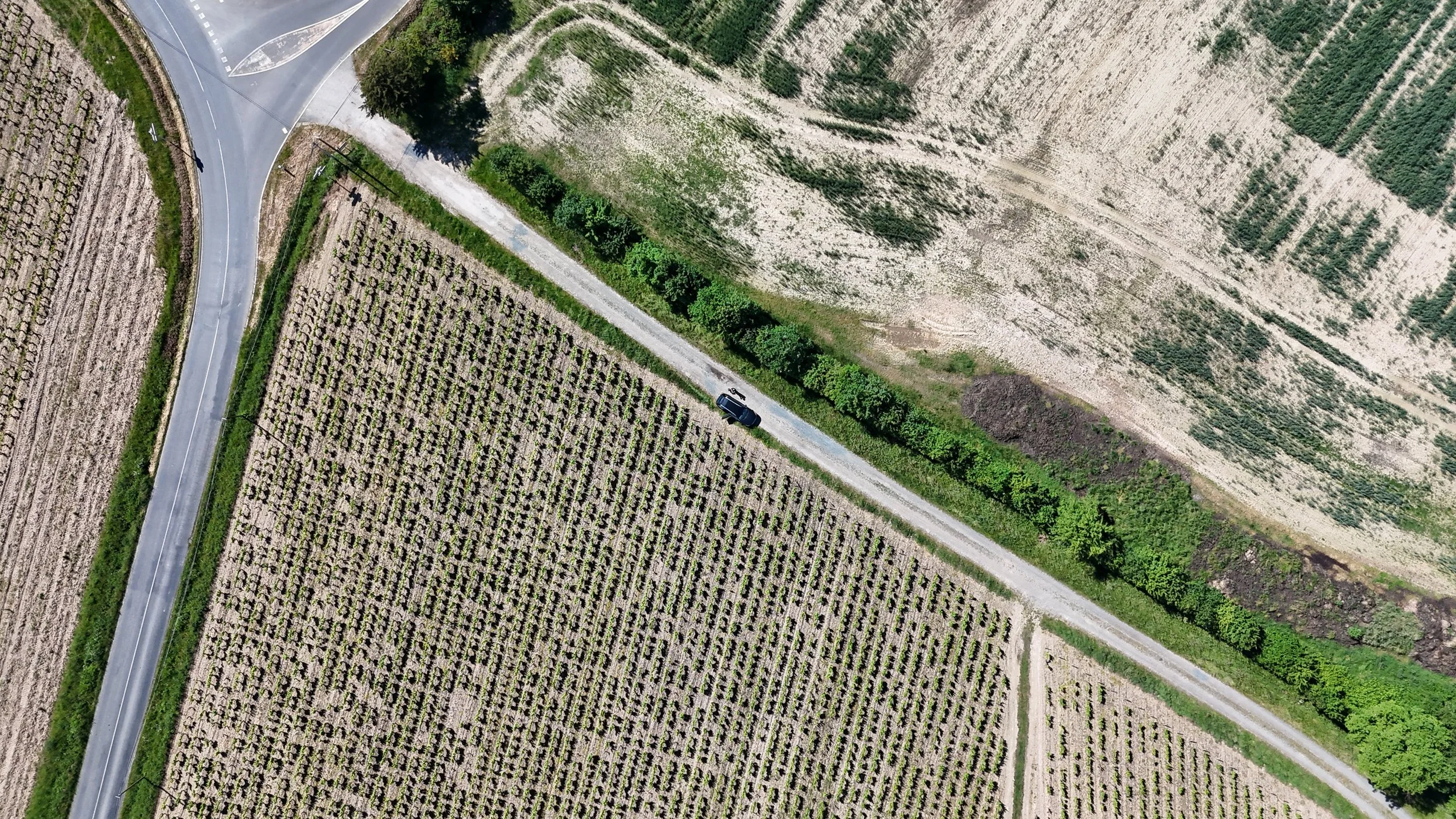dji_fly_20250515_165148_0051_1747322077382_photo.JPG