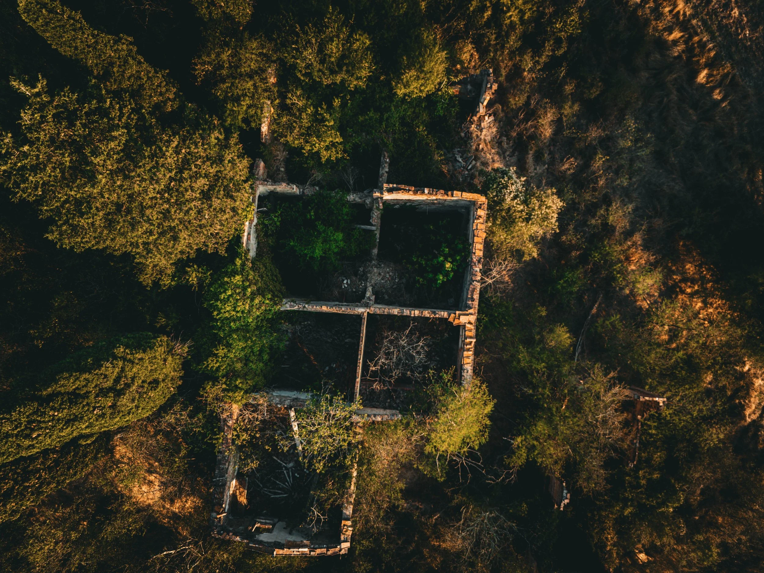 Vue aérienne d'une structure en ruines entourée d'arbres denses dans une forêt.