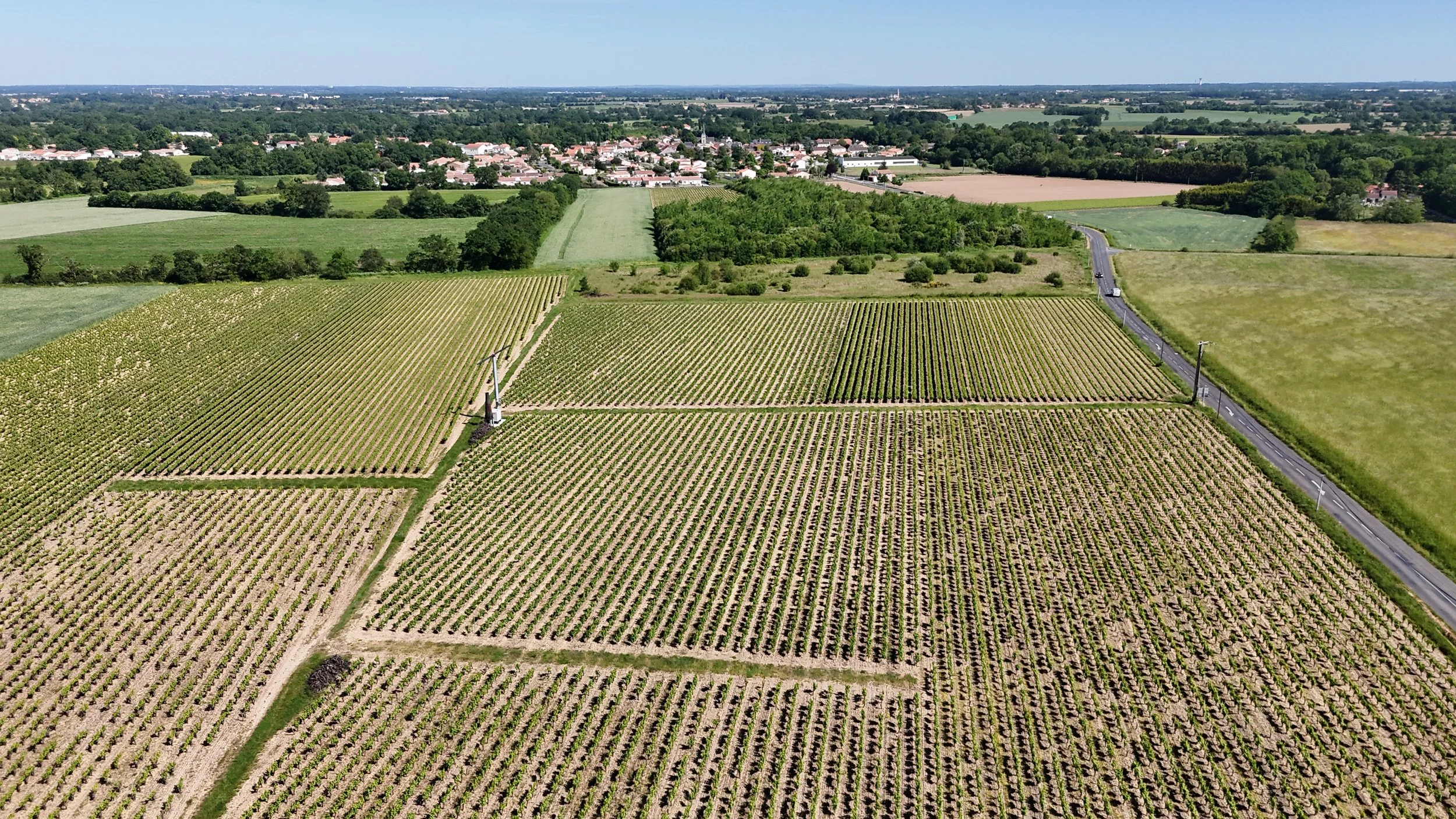 dji_fly_20250515_164208_0031_1747322115422_photo.JPG