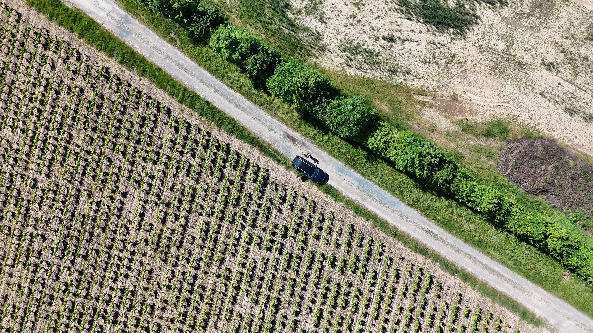 dji_fly_20250515_165208_0052_1747322072160_photo.JPG
