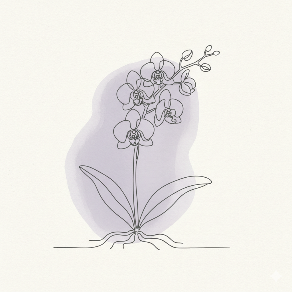 Illustration einer Orchidee mit wenigen Linien und einem lilafarbenen Hintergrund.