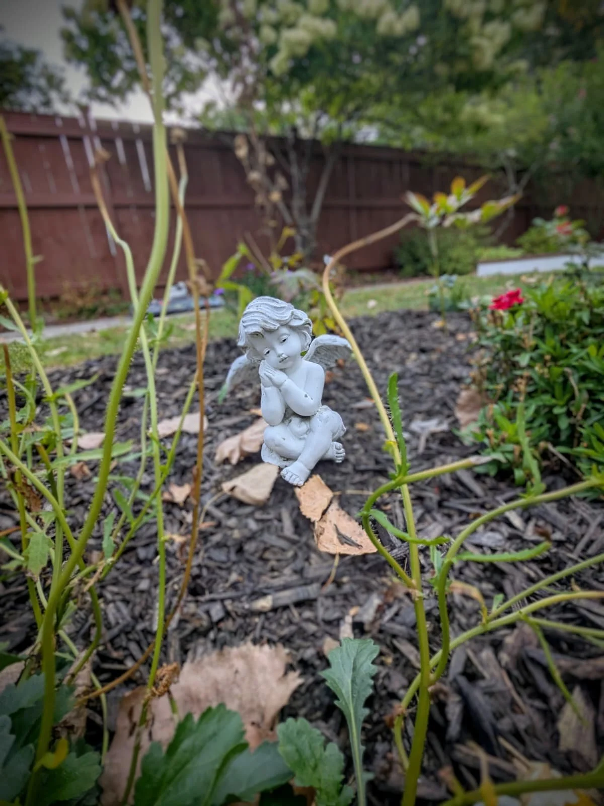 Garden scene with cherub statue among plants and mulch.