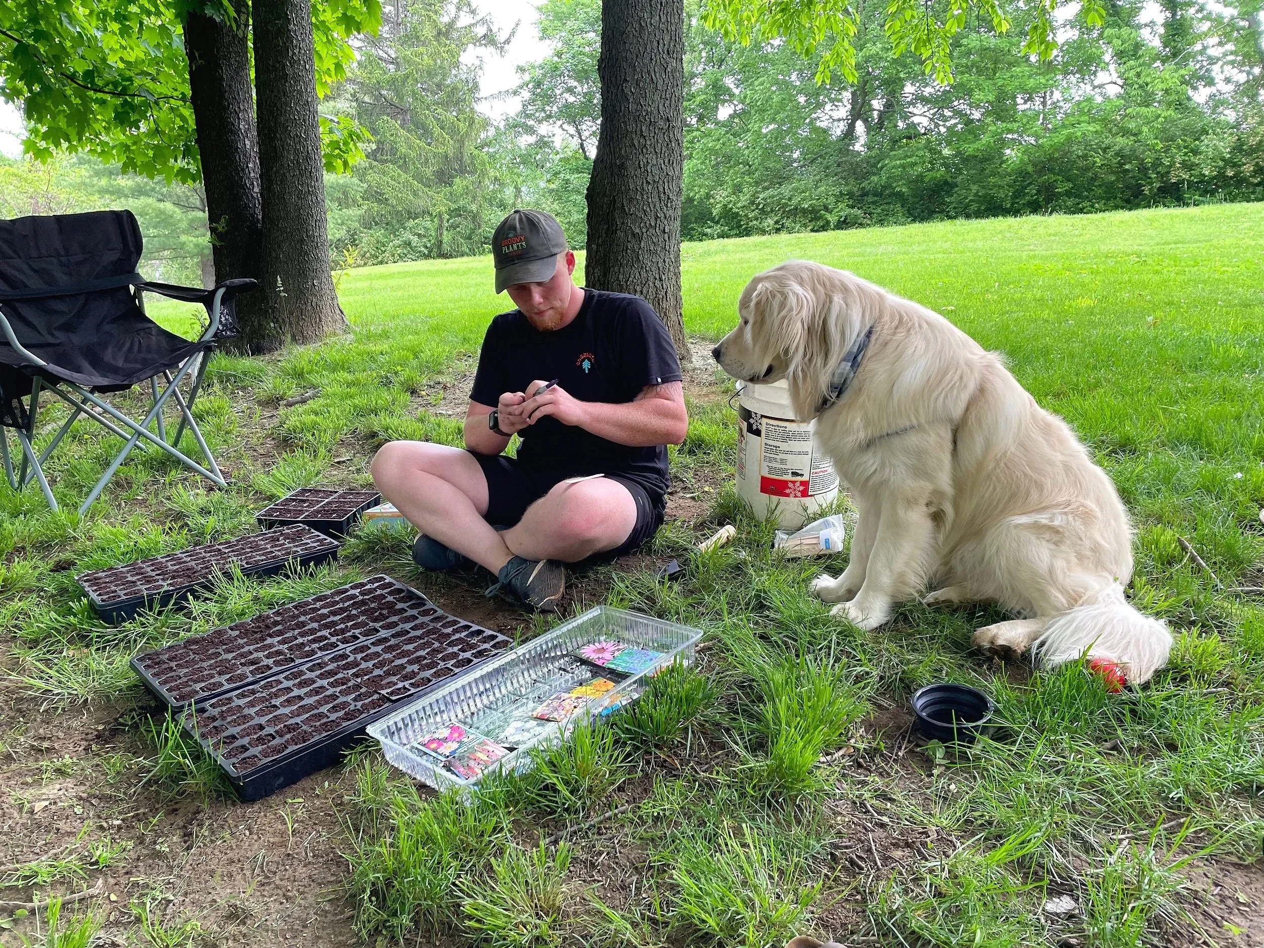 A young man sits on the grass under a tree, surrounded by seed trays filled with soil, with a golden retriever sitting nearby. The scene is in a lush green outdoor setting with trees and grass, and camping chairs are nearby.