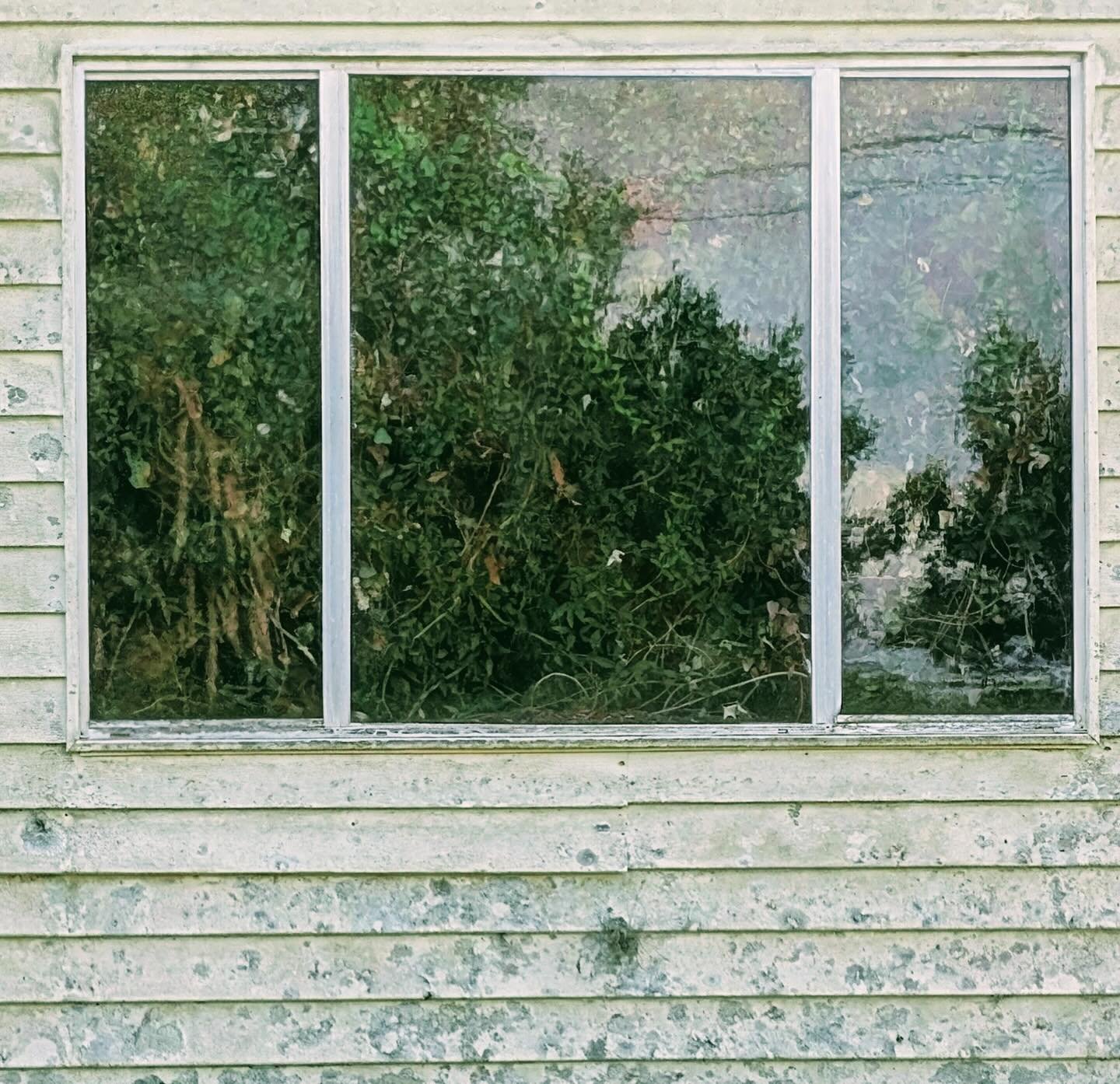 The wild within.

Captured as he was driving on a Central Florida country road by @halpate.film writer/director @prytros_photovideolab .

This is the real Florida: weird. warm. wild. Step into our world.

#floridaartist #filmflorida #comingsoon #dire