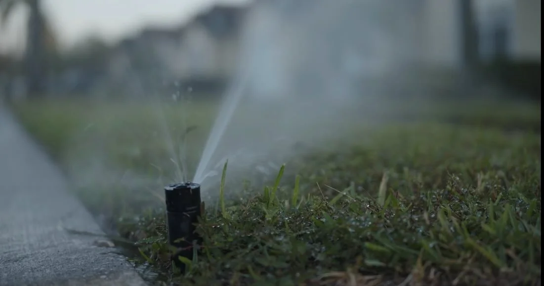 Place as Character.

One of the things, the creative team behind Halpate wanted to illustrate is the narrative arc and personification of place. We wanted to showcase how Florida itself was a protagonist, antagonist, and motivator of action. 

Anyone