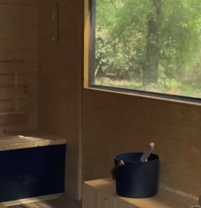 A wooden interior with a large window showing greenery outside. Inside, there is a small bench with a bucket of water and a brush inside it.