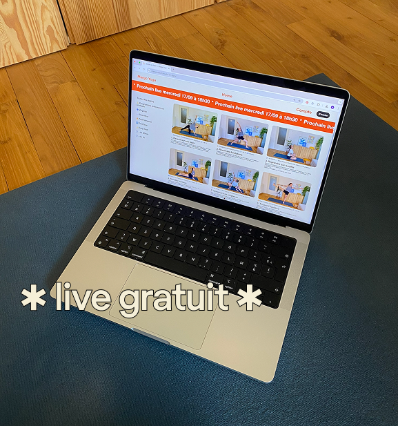 11/11 Vinyasa live 18h30 GRATUIT