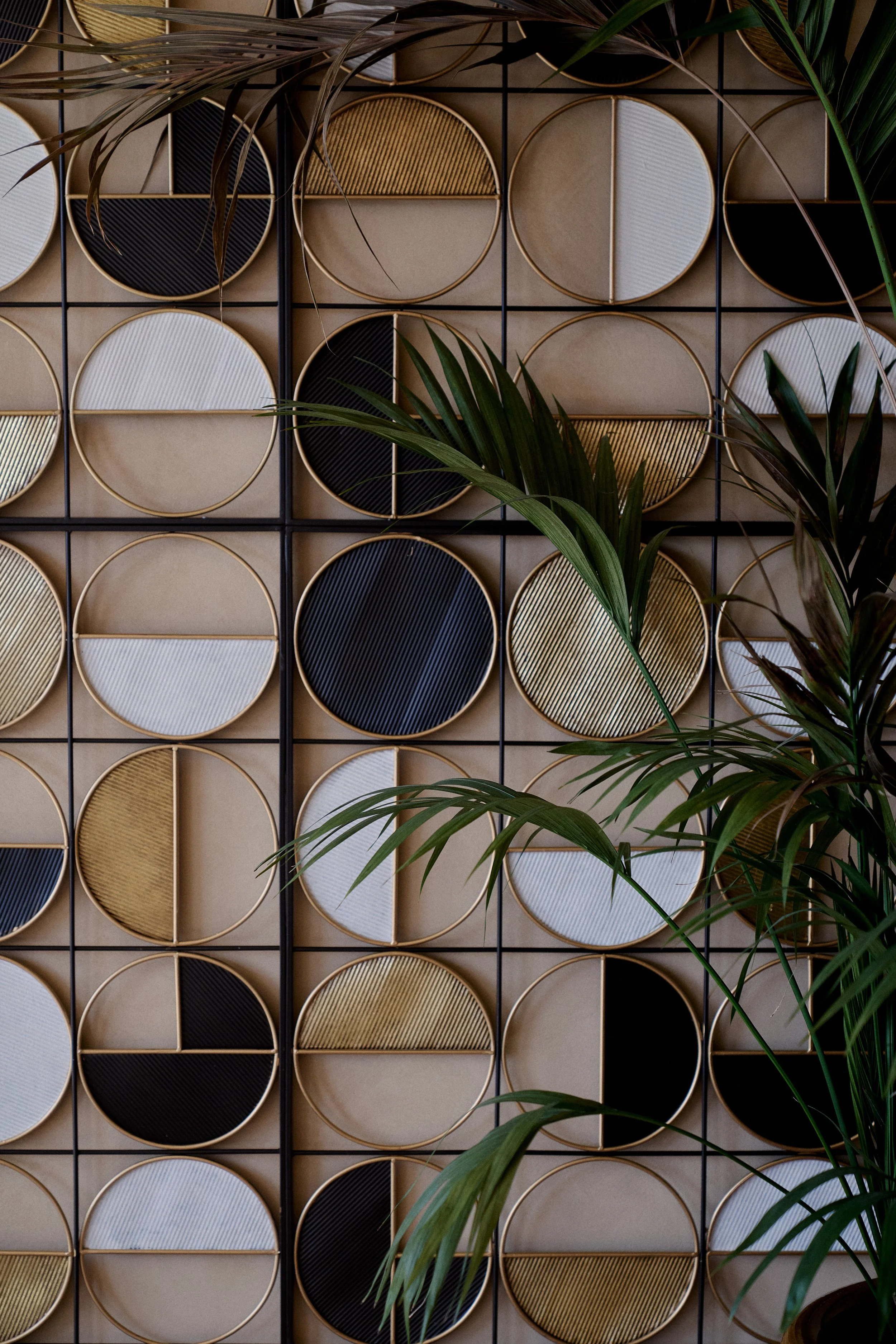 Parede da entrada ou hall do Authentic Premium Studio, decorativa com círculos de diferentes tamanhos e cores em uma estrutura de grade, com plantas verdes em frente.