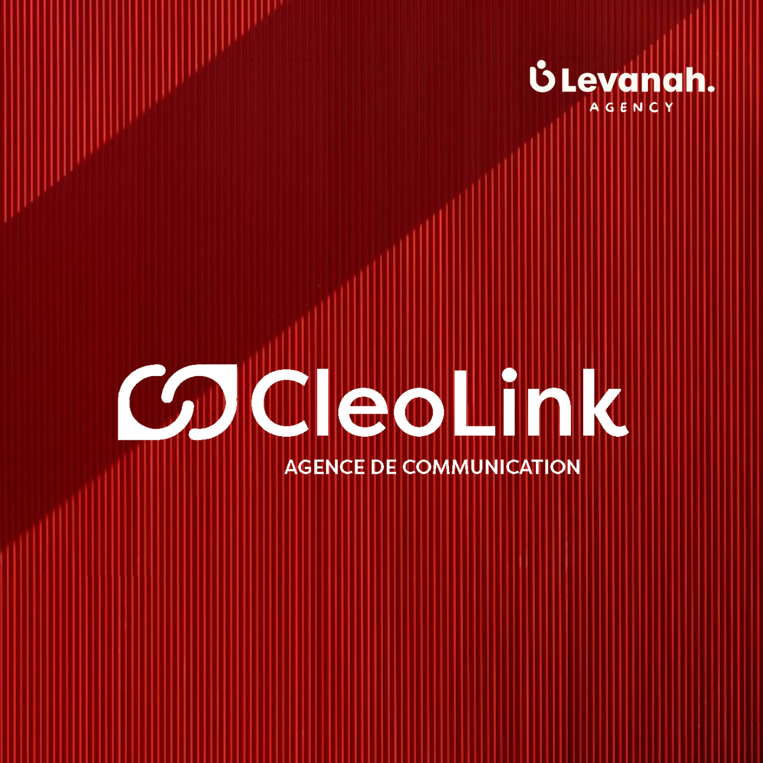 CleoLink, Logo réalisé pour une agence de communication.