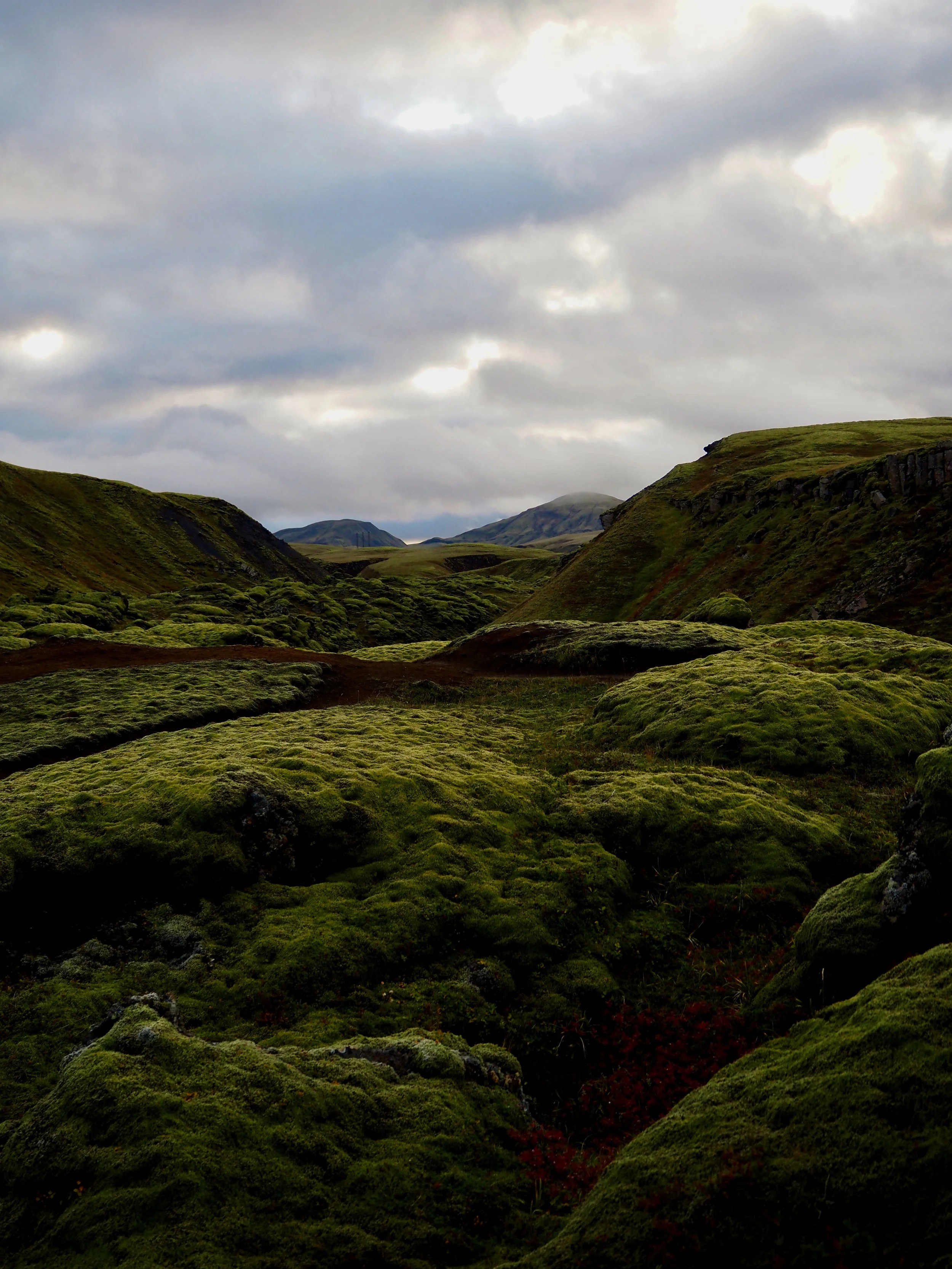 payage-mousse-collines-aimepower