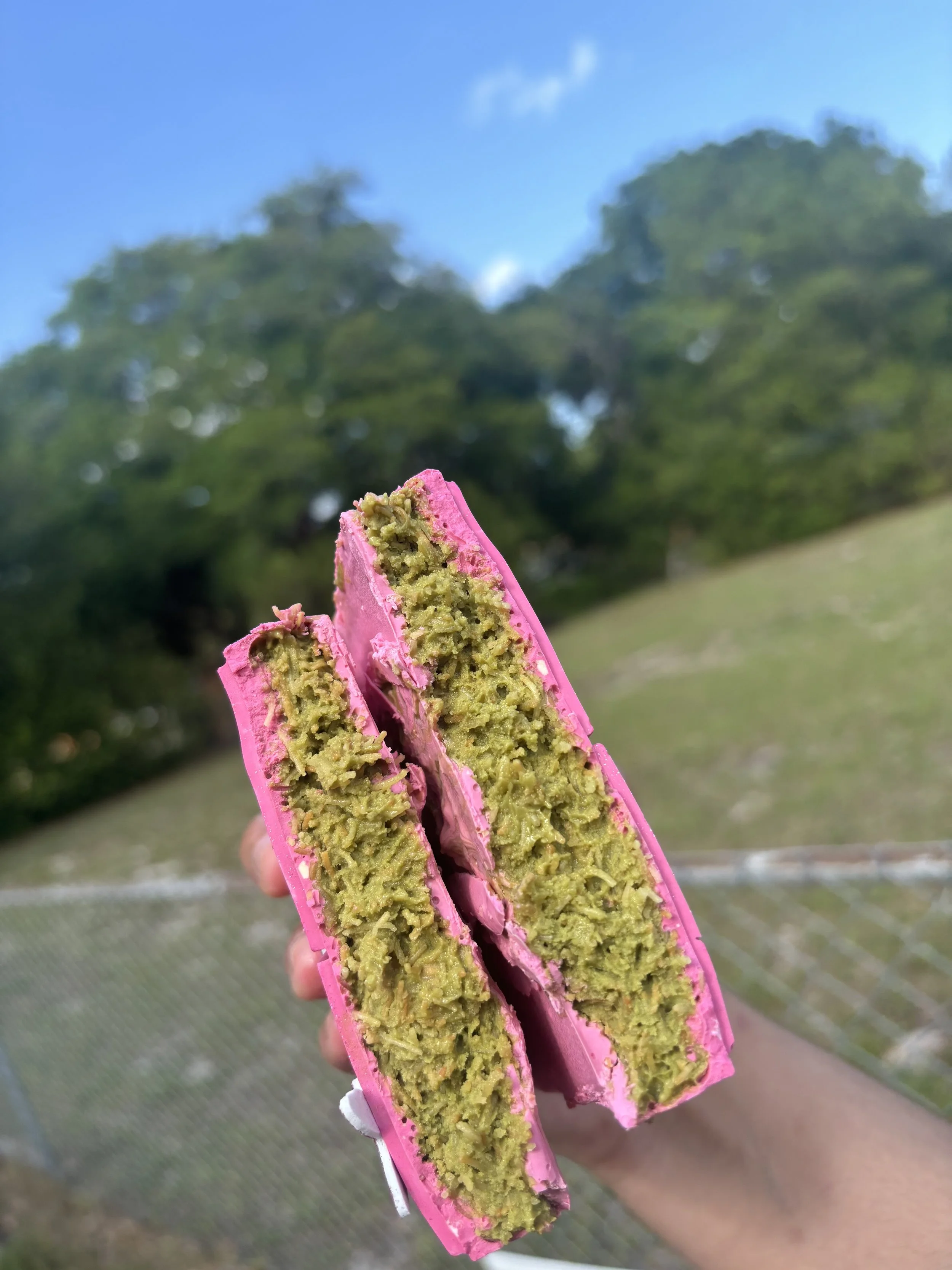 IMG_9105.jpeg