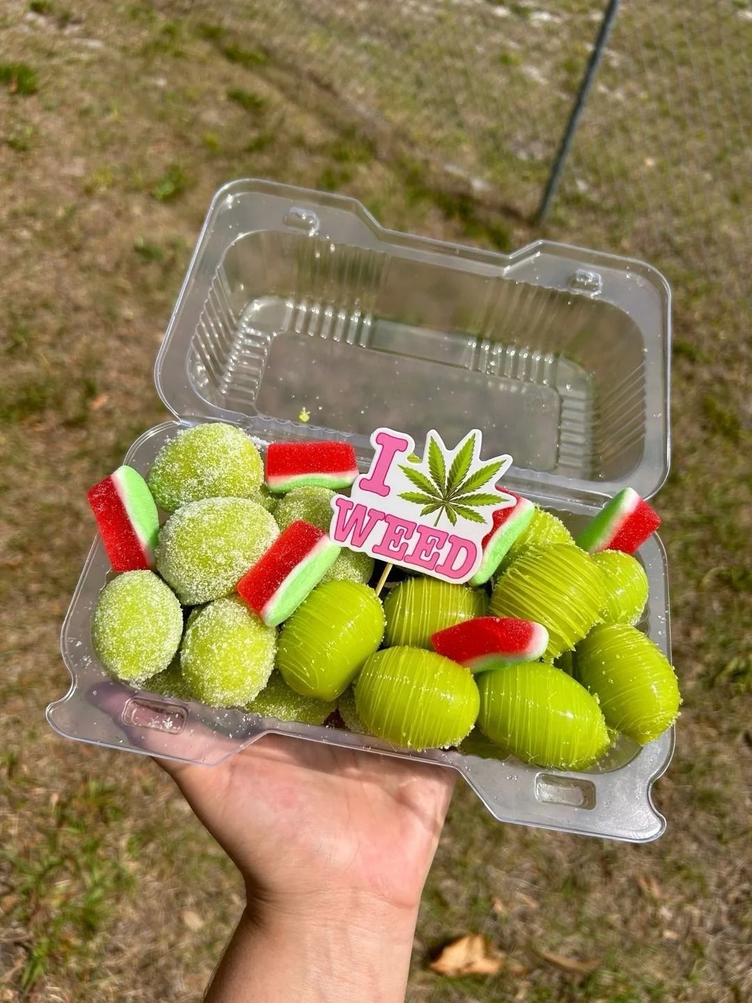 temp_image_6E842296-AE60-4098-8A95-36EA9E3402FD.webp