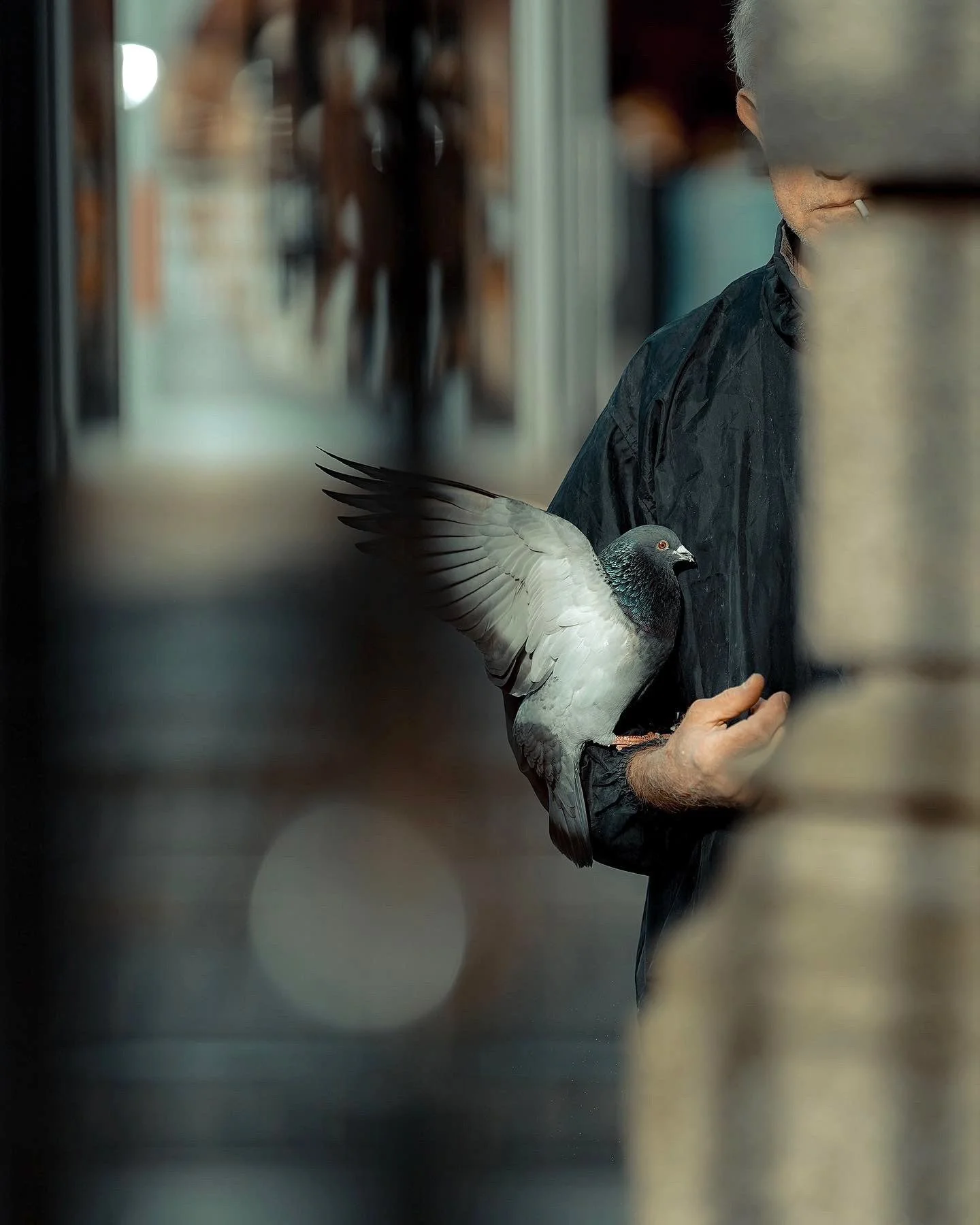 Artistic Dublin street shot of a man holding a pigeon, candid urban moment – Photo by Daniya, street photography.