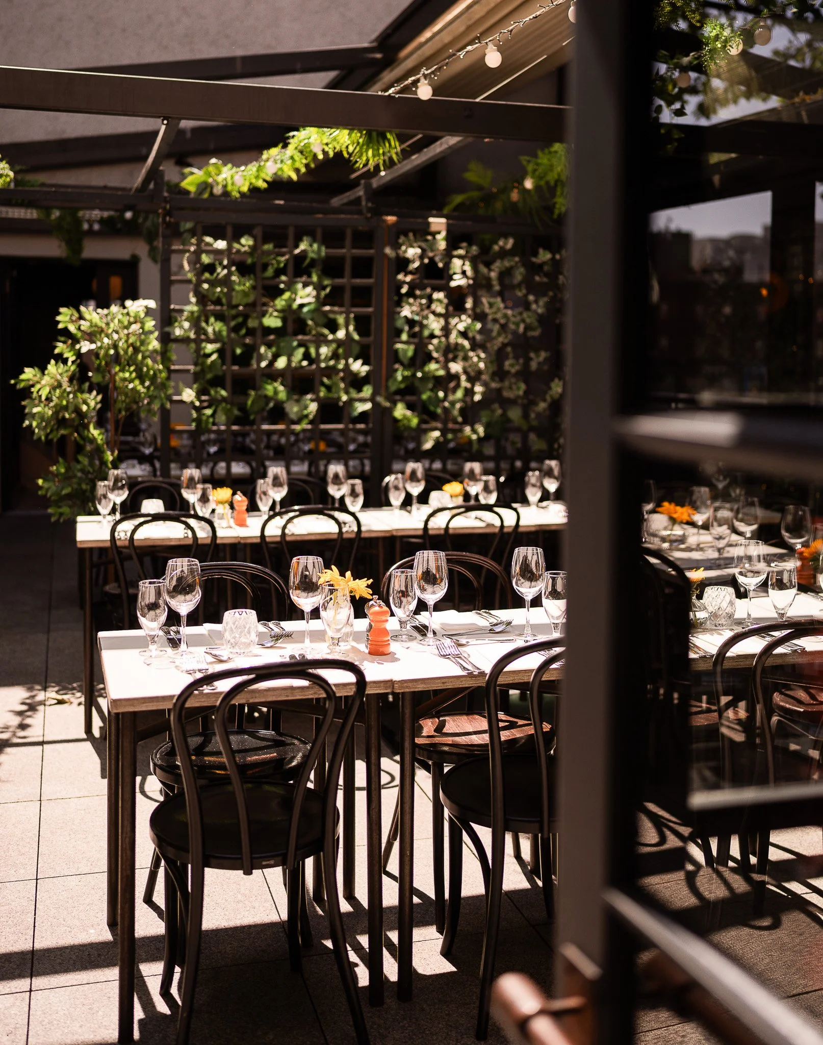 Outdoor restaurant terrace with stylish dining tables.