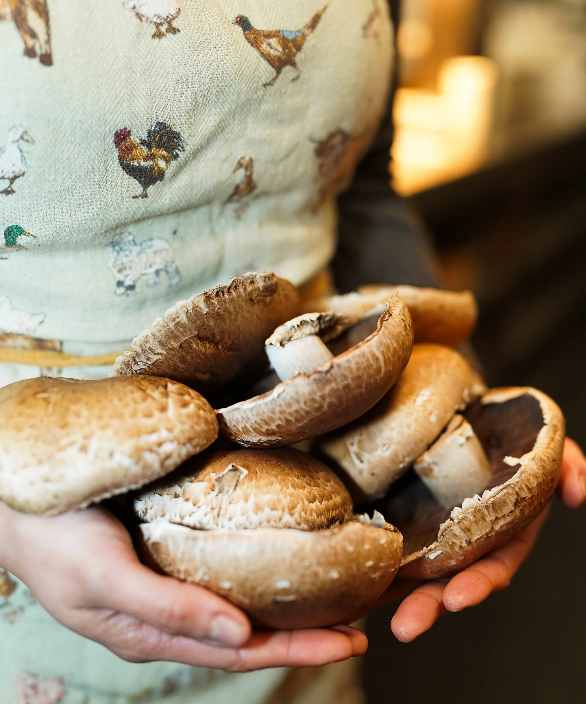 Chef holding fresh mushrooms in hands, Dublin restaurant photography.