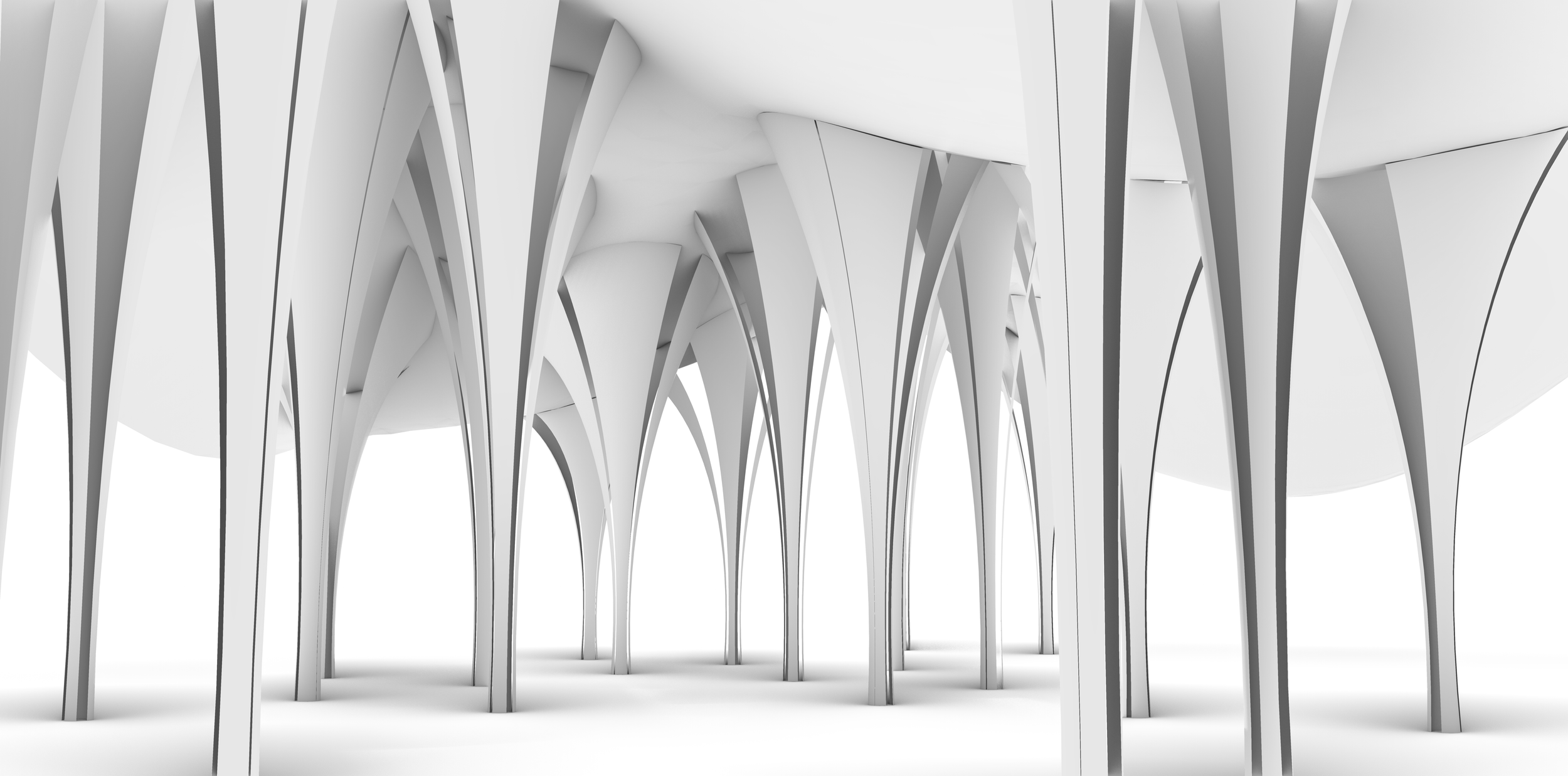 Interior view of a modern architectural structure with numerous tall, slender, curved white supports and arches.