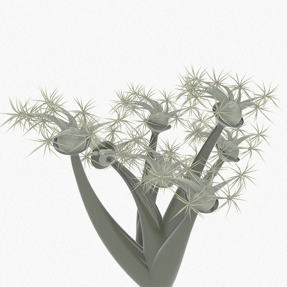 Xenoflora | Tutor's Work | Grasshopper | 2026