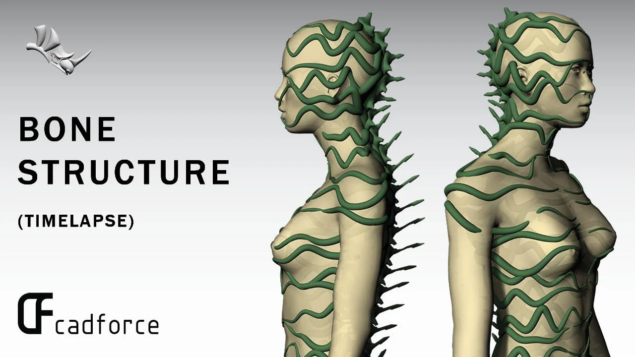 Animation of a human female figure with green vines wrapping around her head and body, illustrating bone structure in a time-lapse style.