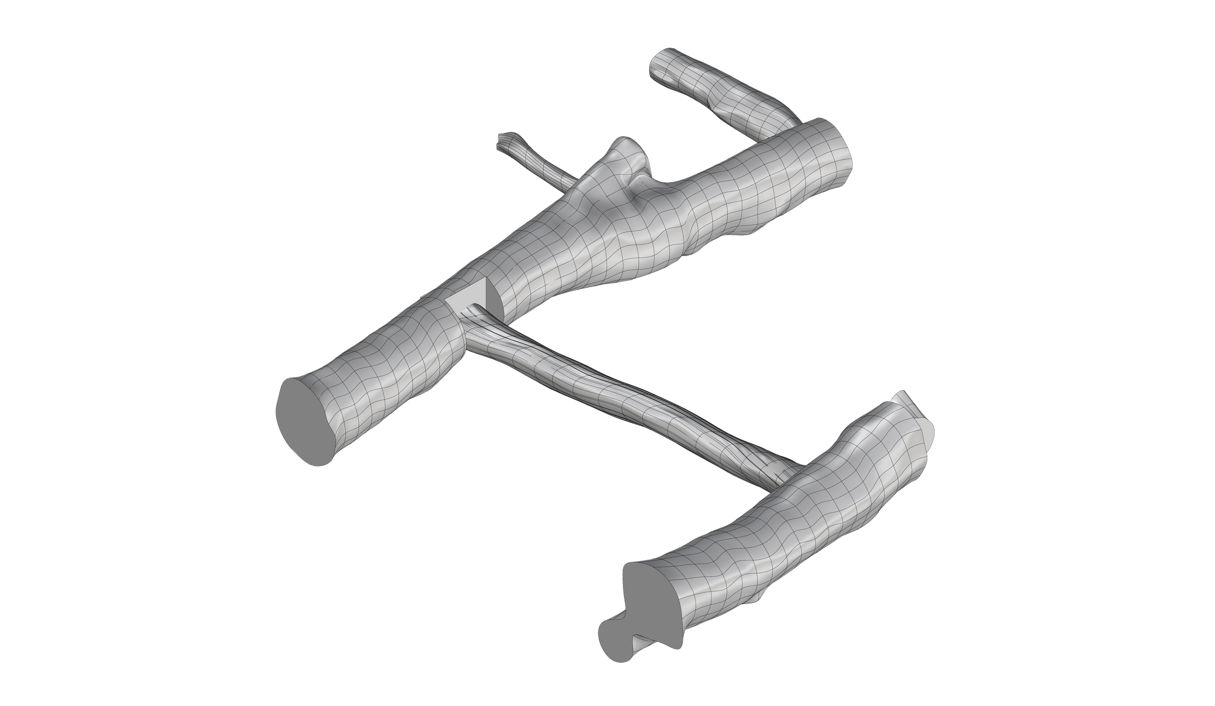 3D wireframe model of a human skeleton in a horizontal position with a black background.