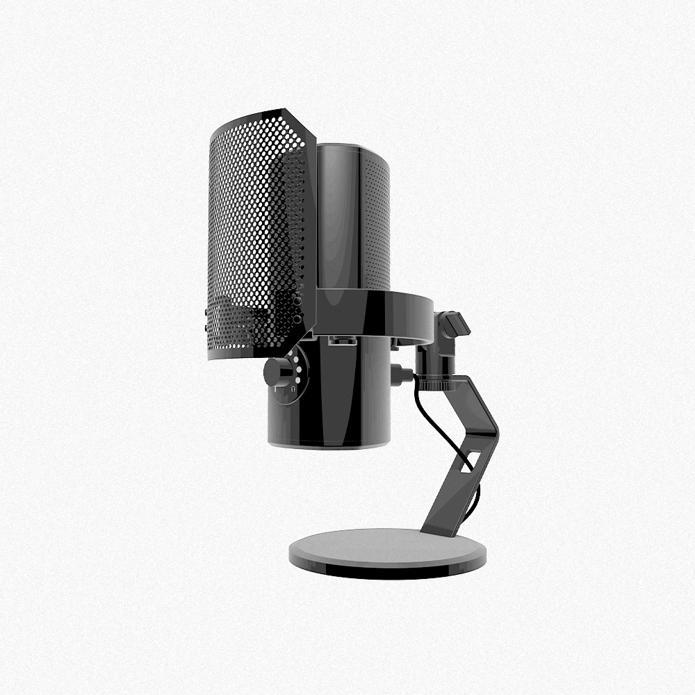 Microphone | Tutor's Work | Rhino | 2026