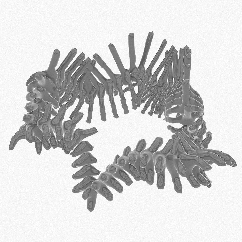 Skeleton | Student's Work | Grasshopper | 2026