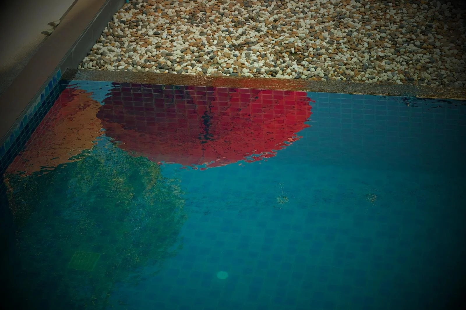 WhatsApp Image 2026-01-19 at 9.41.52 PM.jpeg