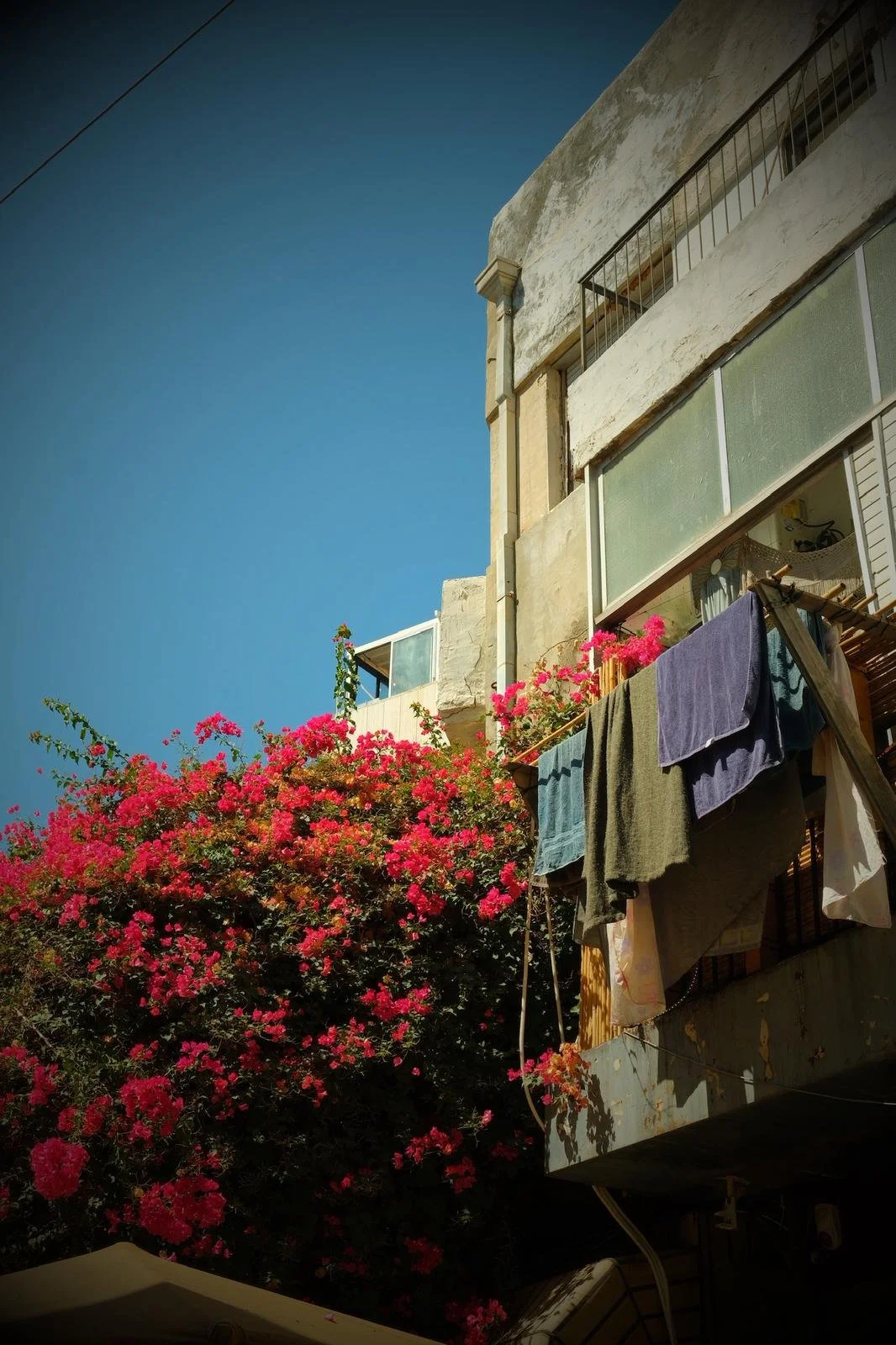 WhatsApp Image 2026-01-19 at 9.42.07 PM.jpeg