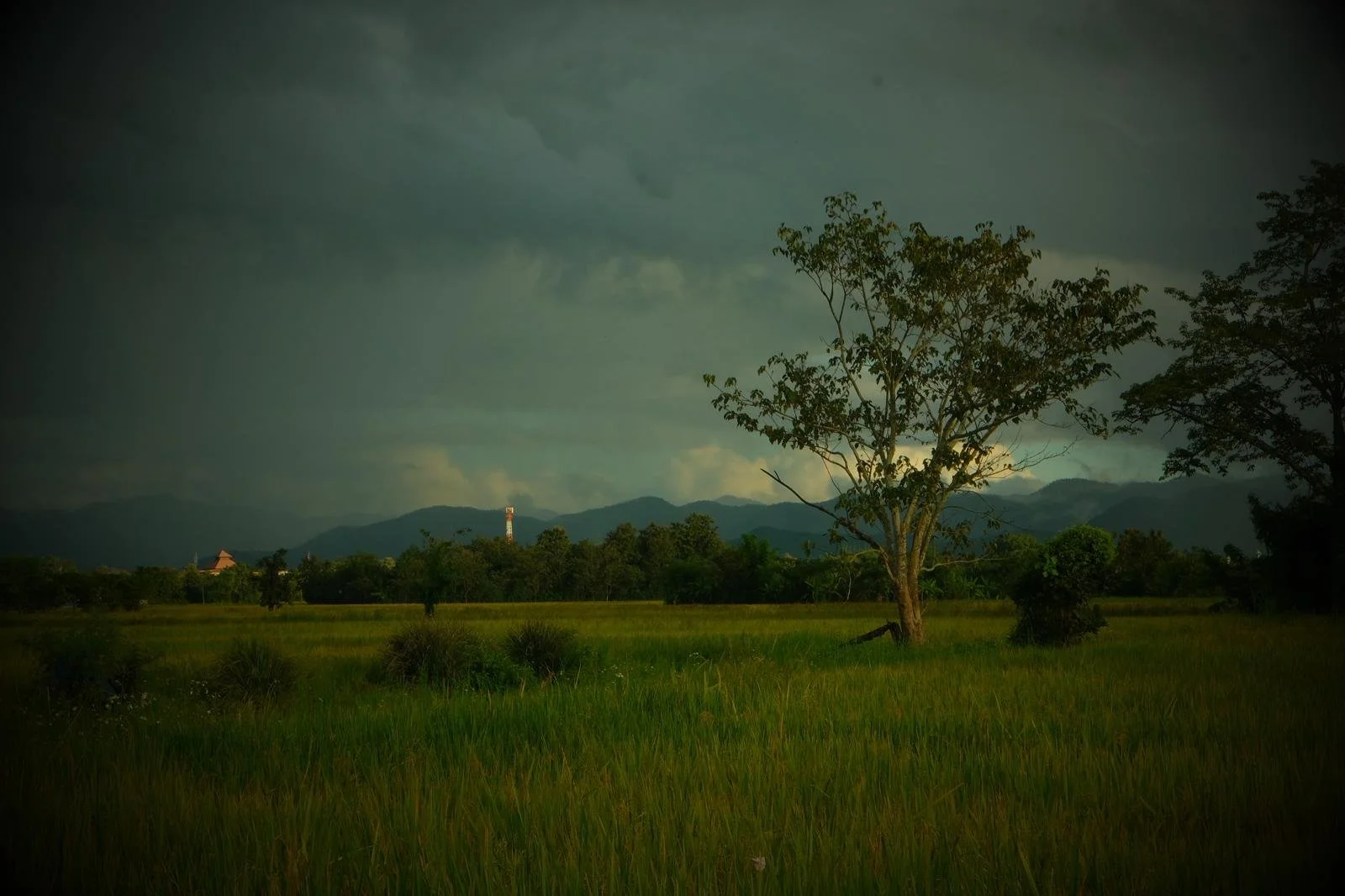 WhatsApp Image 2026-01-19 at 9.42.03 PM.jpeg