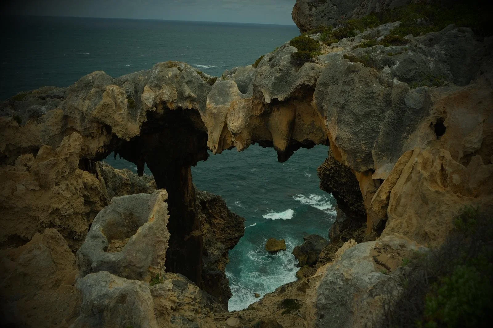 WhatsApp Image 2026-01-19 at 9.41.40 PM.jpeg