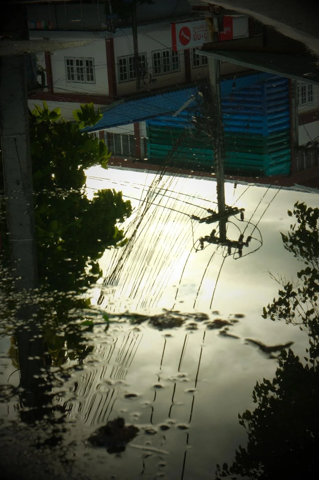 WhatsApp Image 2026-01-19 at 9.42.05 PM.jpeg