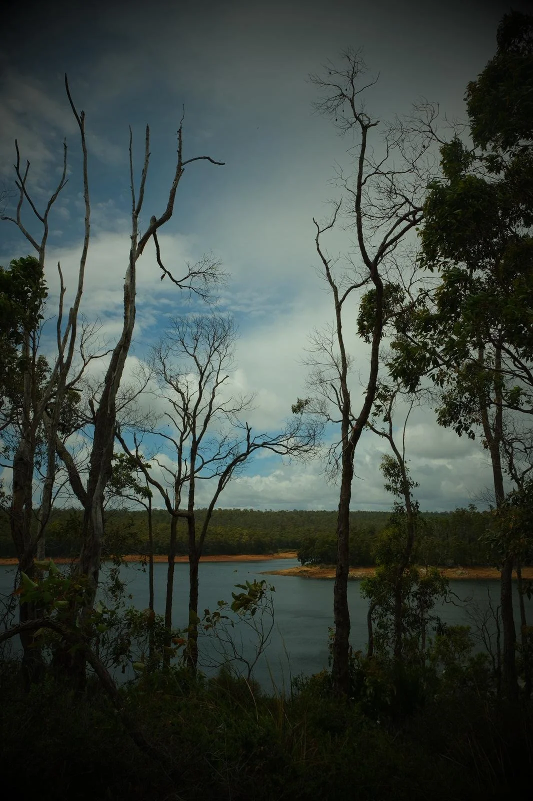 WhatsApp Image 2026-01-19 at 9.41.46 PM.jpeg