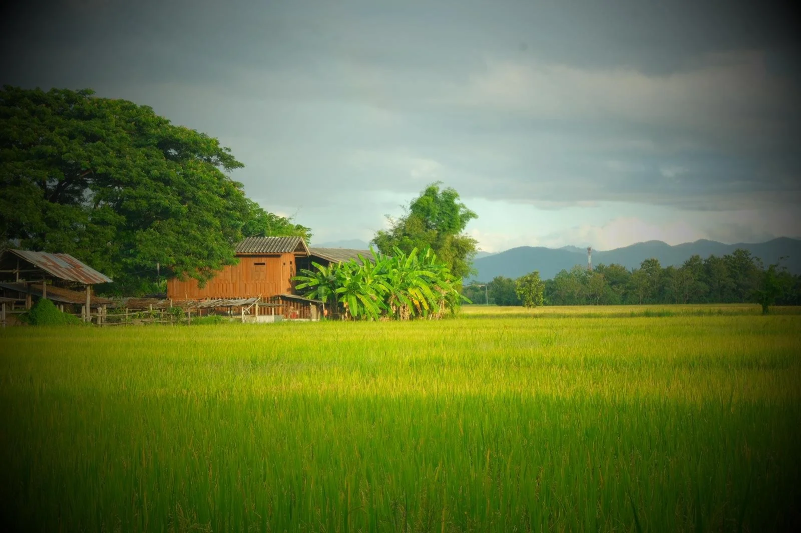 WhatsApp Image 2026-01-19 at 9.42.01 PM.jpeg