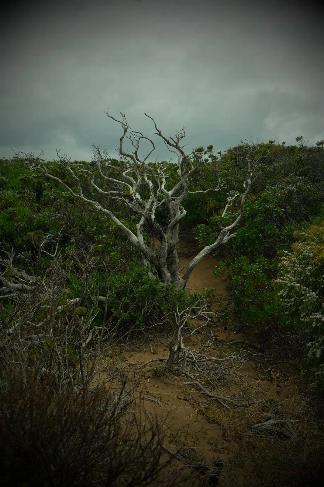 WhatsApp Image 2026-01-19 at 9.41.39 PM.jpeg