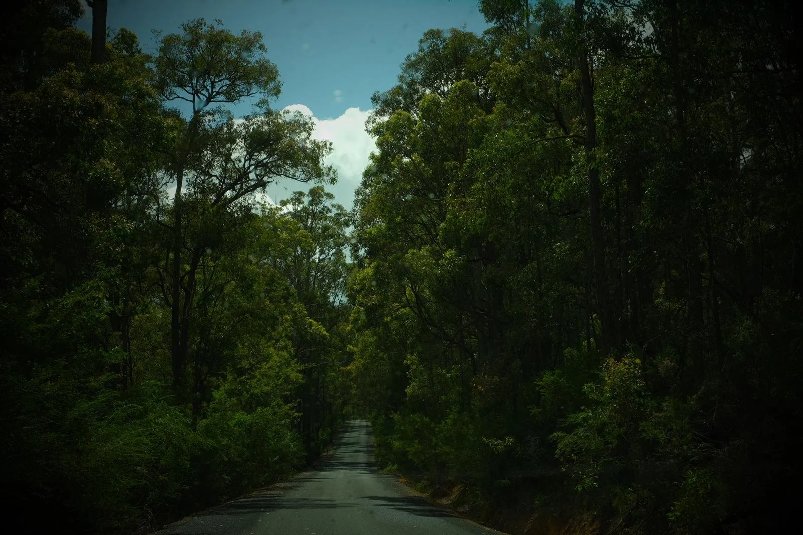 WhatsApp Image 2026-01-19 at 9.41.49 PM.jpeg