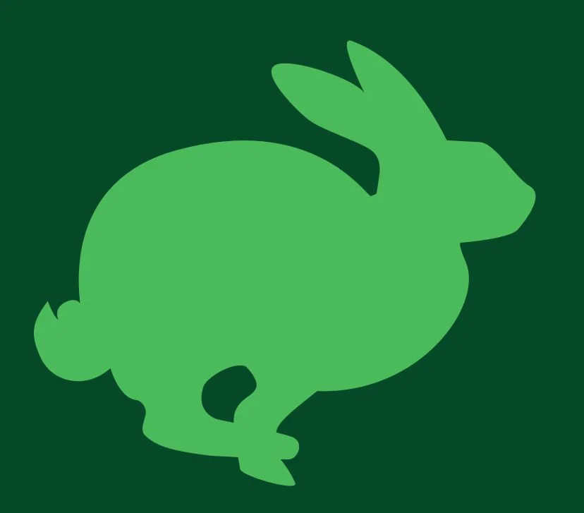 vanquish-pest-control.co.uk