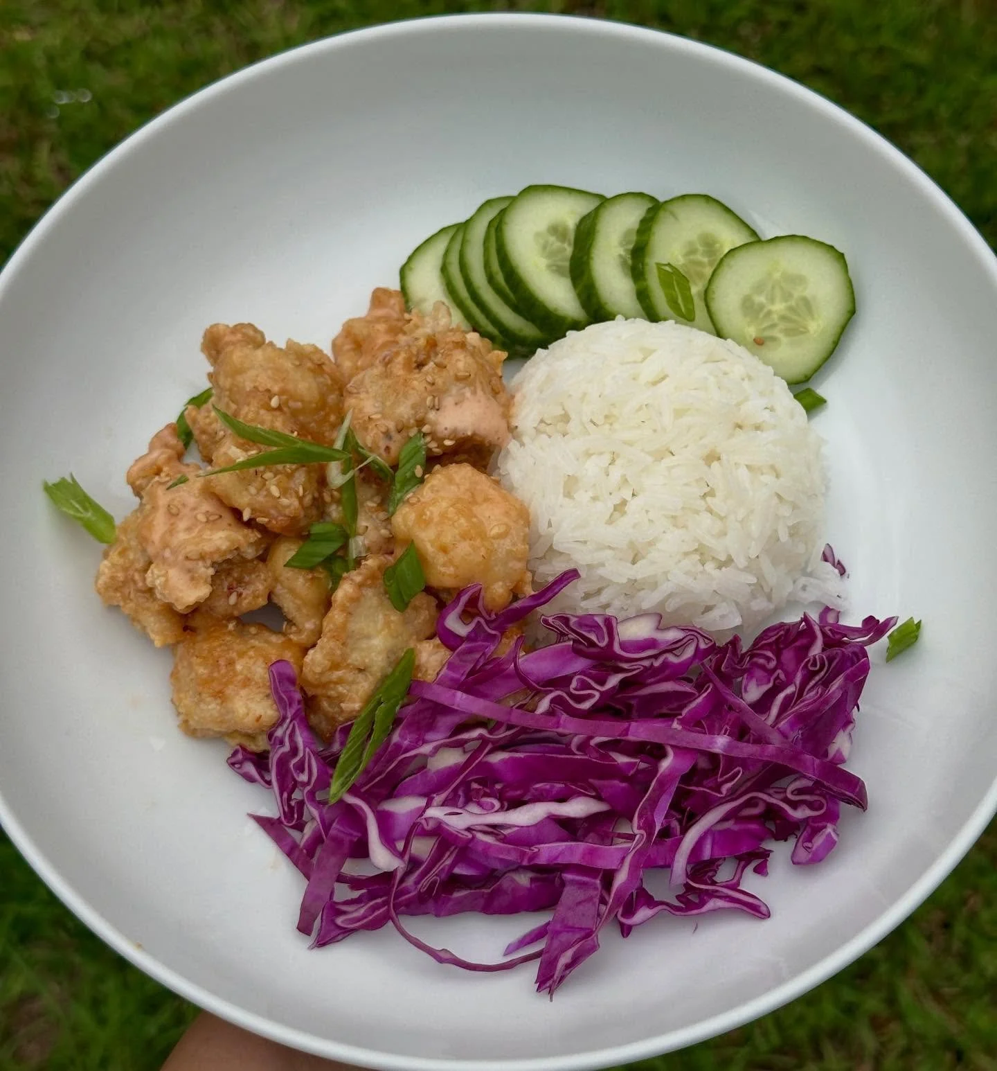 What to cook this week! 

Goal for this week: find new meals to add to the weekly rotation. ✅

1) Bang Bang Chicken Bowls

2) Burger Bowls with Ranch Fries &amp; Special Sauce

3) Crunchwrap Supremes

Recipes &amp; grocery list are linked on my profi