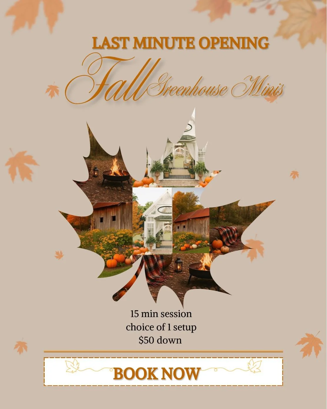 🍂 Last-Minute Fall Mini Alert! 🍁
Last-minute Fall Mini Opening — Sunday at 3:55 PM!
Greenhouse, Barn, or Fire Pit setup available. Choice of 1 setup.. 
Book now ➡️ https://book.usesession.com/s/sNk1sdcHy9
thevictorianatneworleanssquare
