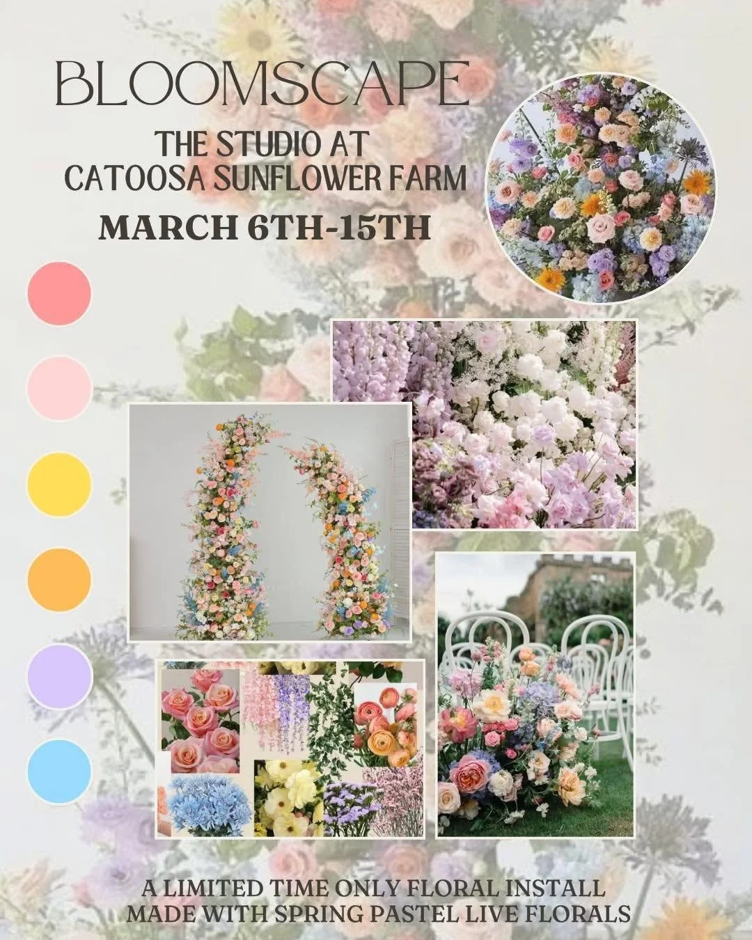 $35 OFF BLOOMSCAPE MINIS &mdash; March 15th at
Catoosa Sunflower Farm! 

Great for Mother&rsquo;s Day, Easter and all things spring! The photos of me is a similar setup from a few years ago, this set is LIVE flowers, so will only be up for one short 