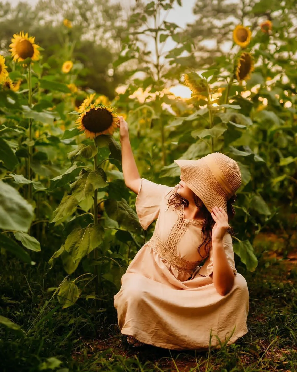 Sunflower minis are approaching soon! They will be the end of June- September! Book yours here! https://book.usesession.com/s/3LFaAoRy5w