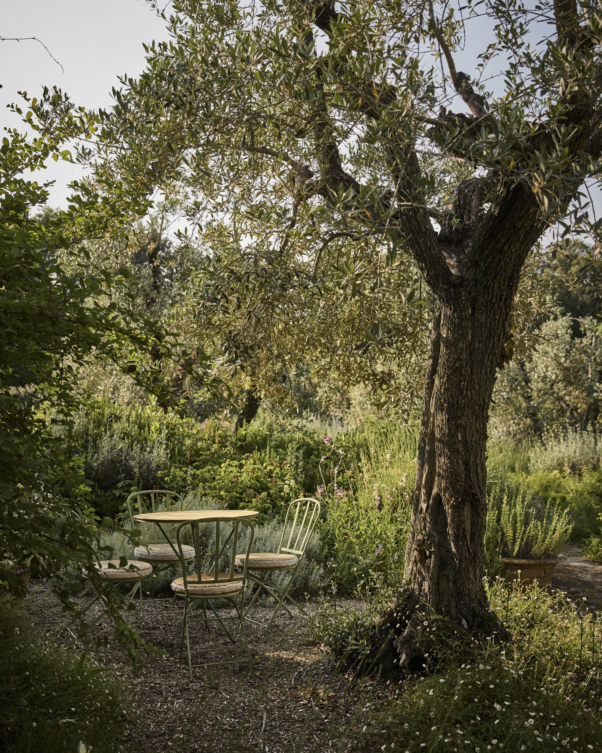 dan-glasser-tuscany-5.jpg