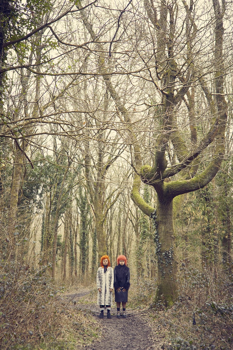 two figures in the distance in a forest
