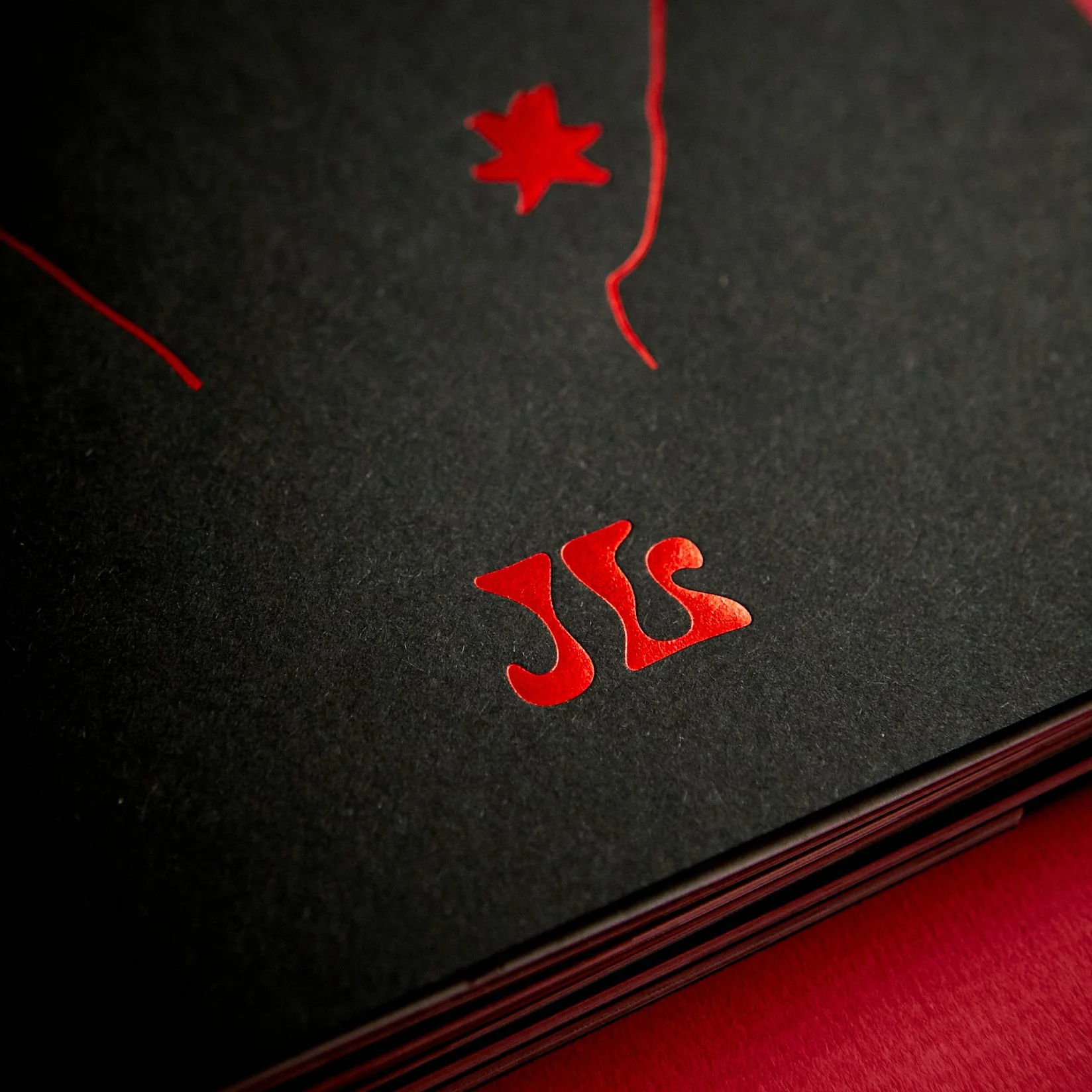 ZINE PUBLICATION SHOTS048.jpg