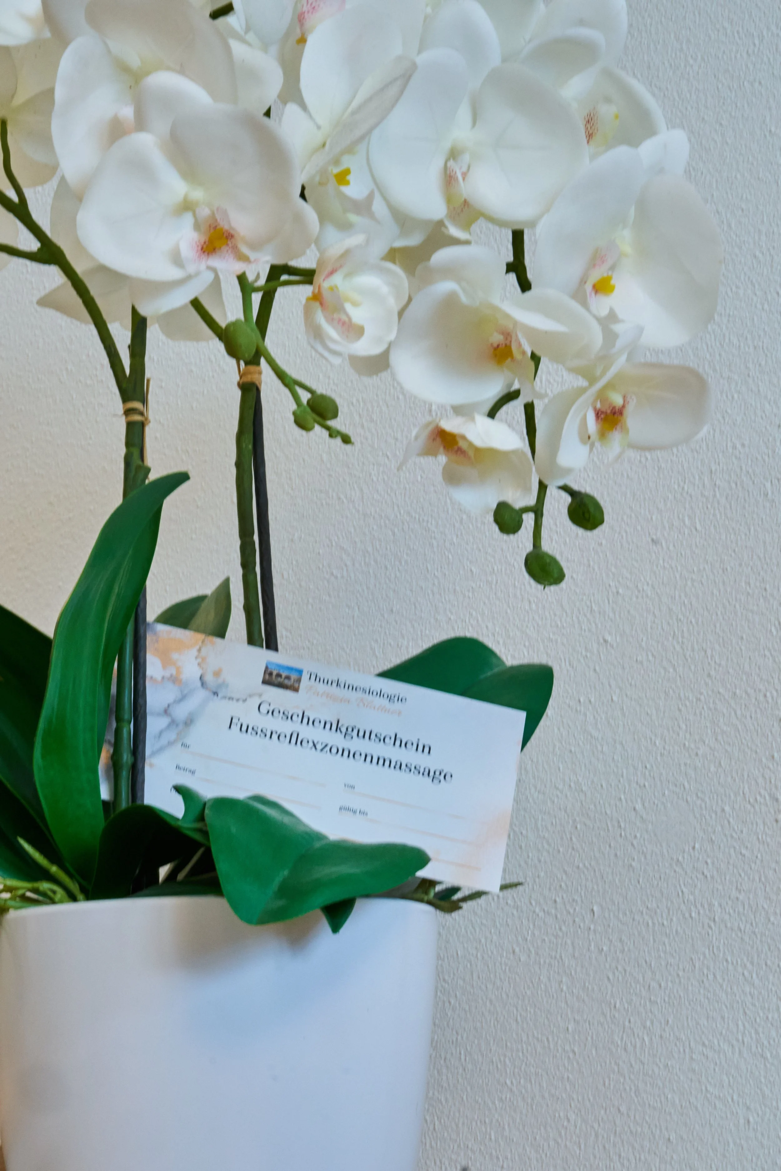 Weiße Orchidee in Topf mit Gutschein für Fußreflexzonenmassage an der Pflanze.
