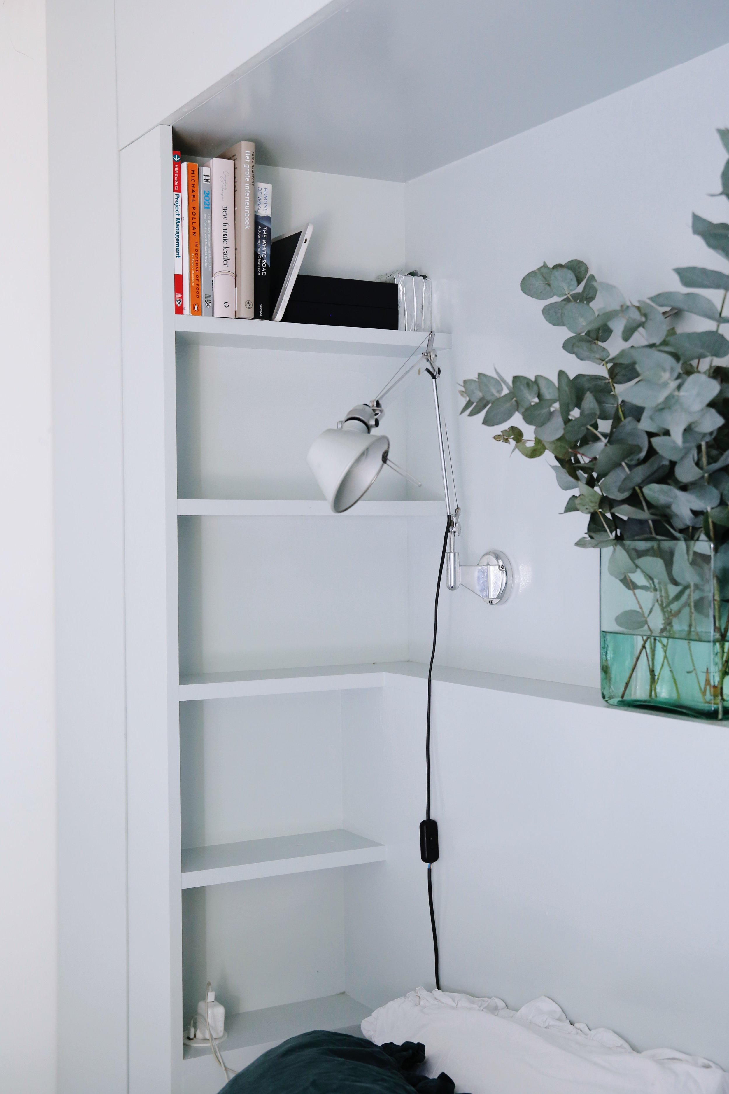 Een witte ingebouwde boekenplank in een kamer met enkele boeken, een leeslamp, en een grote plantenpot met groene bladeren.