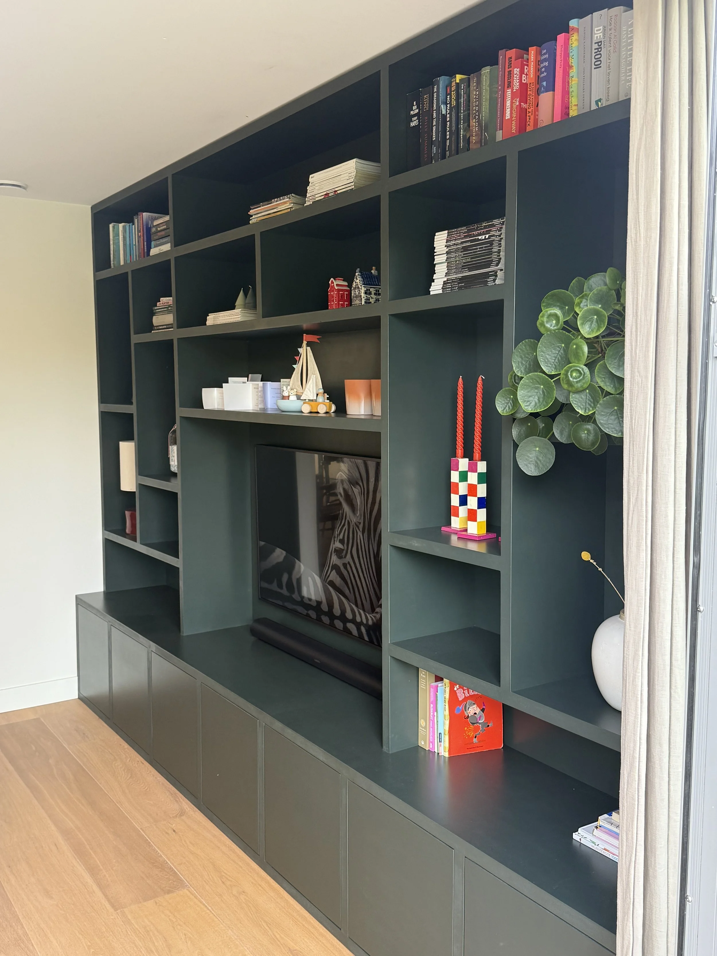 Een muurkast met open vakken gevuld met boeken, decoraties en planten, en een televisie in het midden.